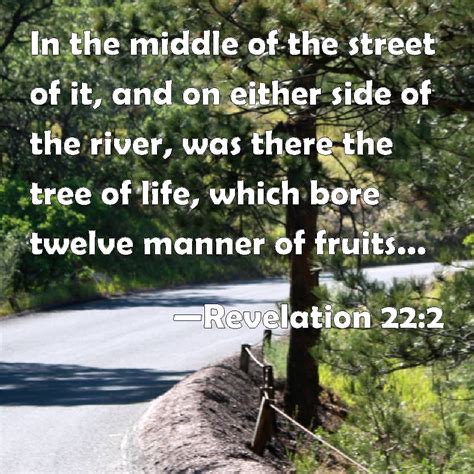 Revelation 22:2 In the middle of the street of it, and on either side ...