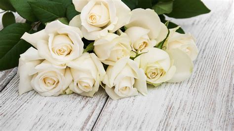 White Rose Meaning Language Of Flowers | Best Flower Site