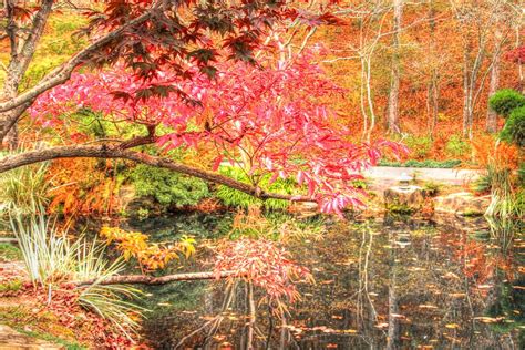 Fall at Gibbs Gardens Photograph by Nancy Wolfe - Fine Art America