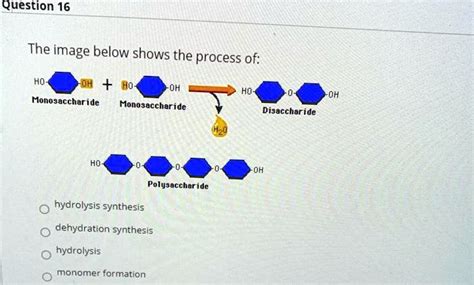 question 16 the image below shows the process of 0h ho nonosacchar ide monosaccharide ...