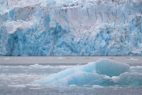 Exploring the Endicott Arm & Dawes Glacier | Current by Seabourn