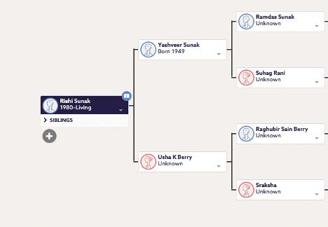 A story of migration and cultural exchange: Rishi Sunak's family tree ...