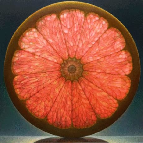 Citrus! Image Fruit, Gifs, Fotografia Macro, Fruit Painting, Orange Painting, Painting Art ...