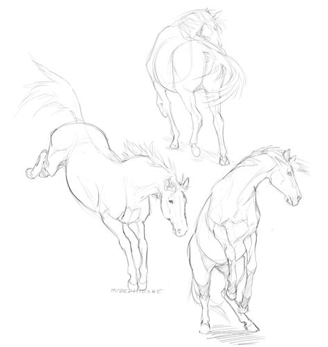 three drawings of horses standing next to each other