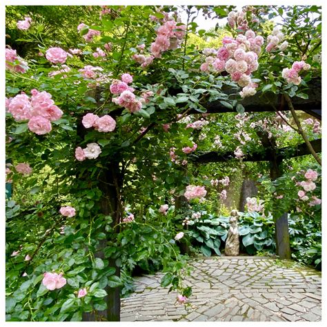 The Amazing Akao Herb And Rose Garden In Atami, Japan And Are We Nearly ...