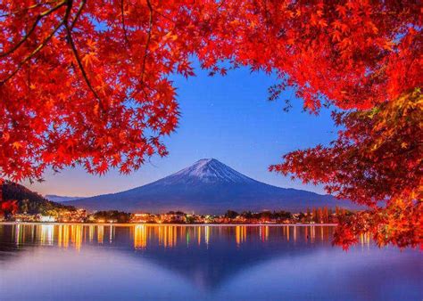 Fall Colors in Japan 2024: Best 8 Spots to See Japanese Maple Leaves ...