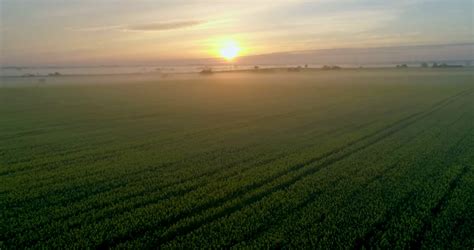 A Fabulous Field At Sunrise Stock Footage SBV-315499649 - Storyblocks