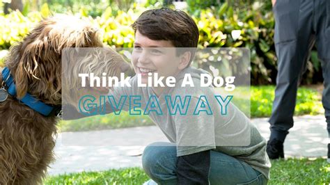 WIN 1 of 5 Think Like A Dog DVDs - What's On 4 Kids