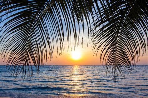 Beautiful tropical sunset with palm trees. Tropical beach. palm — Stock ...