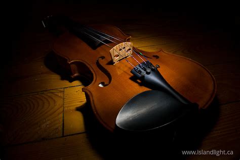 Violin ~ Violin photo - Island Light Photography