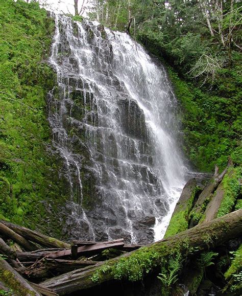 Tillamook Forest Center | Oregon Coast | Educational