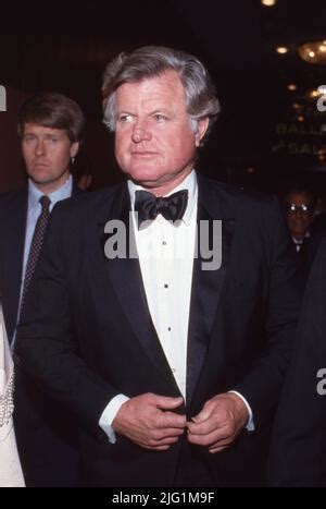 Ted Kennedy Circa 1980's Credit: Ralph Dominguez/MediaPunch Stock Photo - Alamy