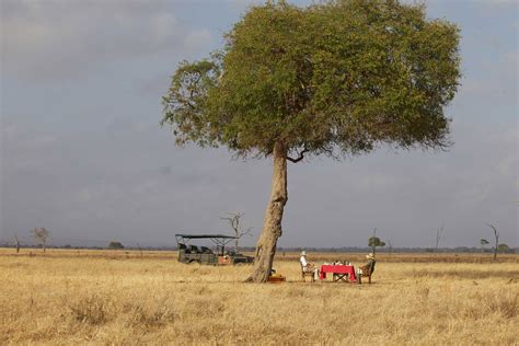 Mikumi National Park - Travel to Mikumi in Tanzania