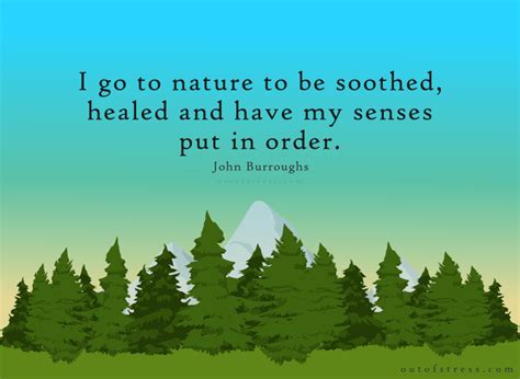 54 Profound Quotes On The Healing Power Of Nature