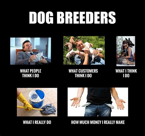 7 Reasons Why Breeding Dogs Is HARDER Than You Think