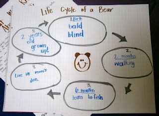 Life cycle of a grizzly bear | Kindergarten! | Pinterest | Kindergarten