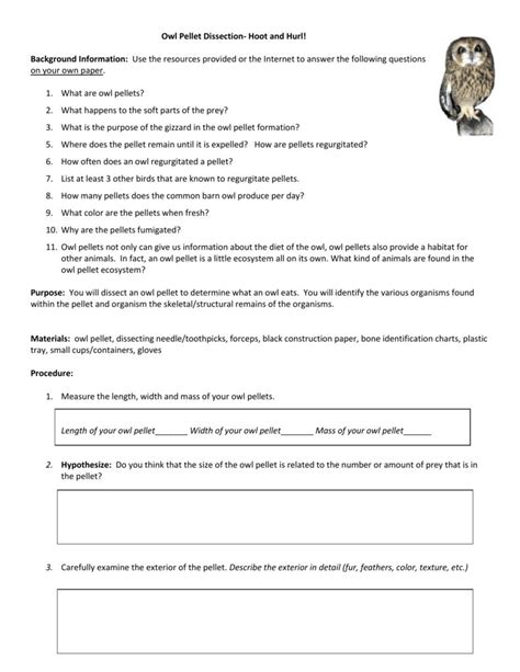 Owl Pellet Dissection Worksheet