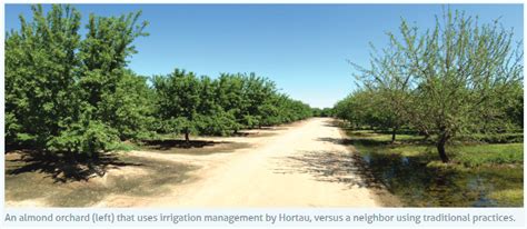 Leaching and its effect on valuable nutrients in the soil - Hortau