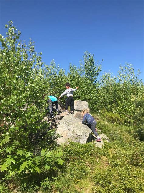 Top 5 Kid Friendly Hiking Trails in Southern Maine