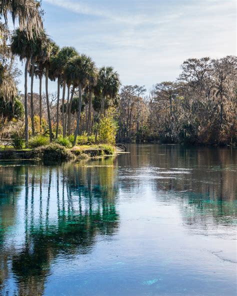 Silver Springs State Park, - Sports-Outdoors Review - Condé Nast Traveler