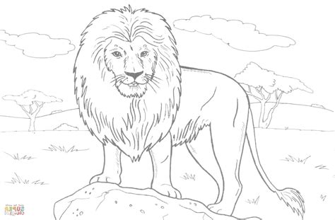 Realistic Lion Coloring Pages at GetDrawings | Free download