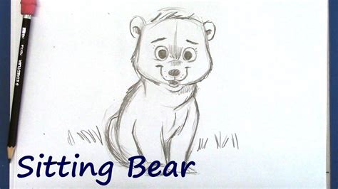 How To Draw A Cartoon Bear