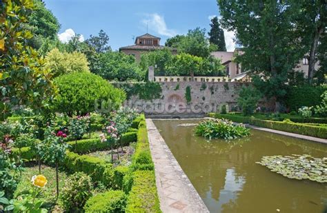 Alhambra Palace Gardens Wallpaper | Wallsauce US