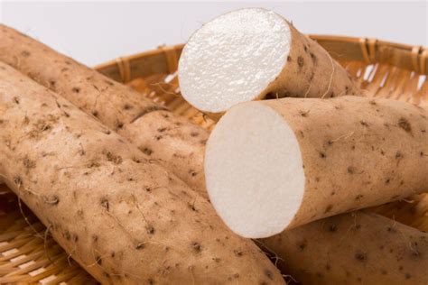 Wild Yam Root Powder – Custom Formulation Supplement Manufacturer Private Label NutraCap Labs