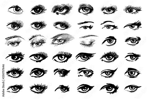 Beautiful woman eyes vector ink drawing. illustration. Black white Set ...