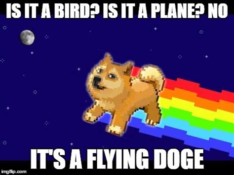 Flying Doge - Imgflip