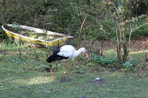 Lake District Wildlife Park Gallery - Visit Cumbria