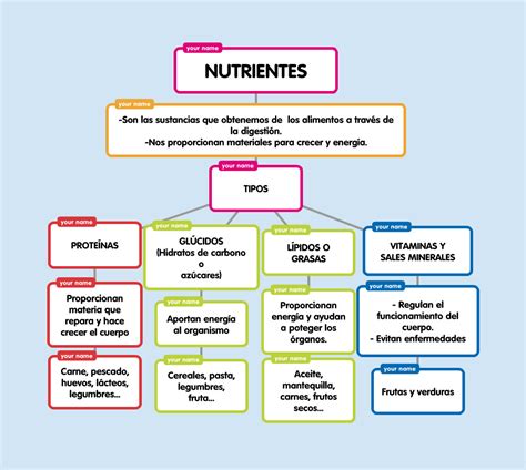 Elabora Un Mapa Conceptual Sobre Los Tipos De Nutrientes Y Alimentos | The Best Porn Website