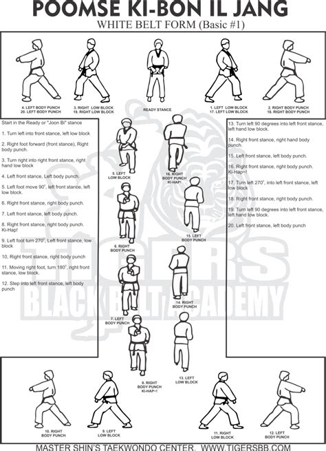 Taekwondo White Belt Forms Chart