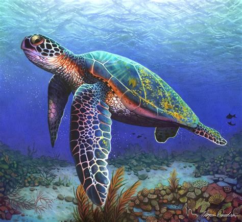 Sea Turtle Drawing Color at GetDrawings | Free download