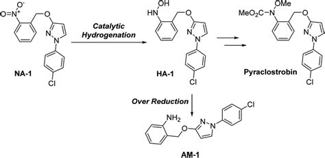 Catalytic hydrogenation for NA-1: the synthesis of a key intermediate... | Download Scientific ...