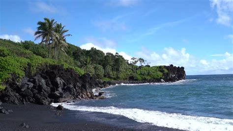 Hawaii Beach Scene with Sea Turtle and Romantic Couple Holding Hands Stock Video - Video of ...