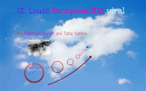 St. Louis Encephalitis Virus by Tania Santos