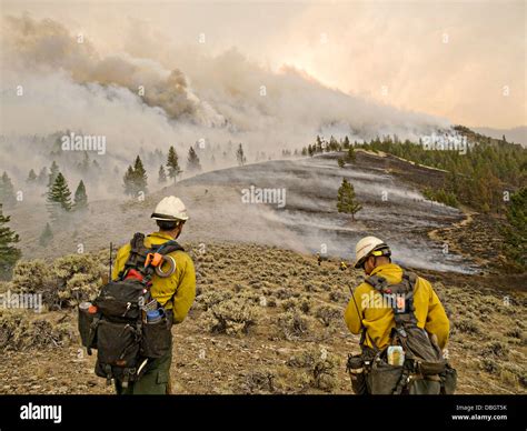 US Forest service hotshot firefighters work to contain the Lodgepole Fire in the Salmon-Challis ...