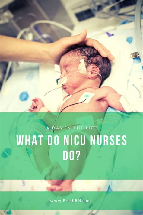 What do nicu nurses do – Artofit