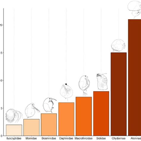 Number of cladoceran species from seven families in the state of Bahia,... | Download Scientific ...