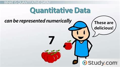 Quantitative Data Overview, Types & Examples - Lesson | Study.com