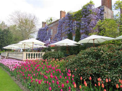 Seasonal Highlights in the Garden - Pashley Manor Gardens