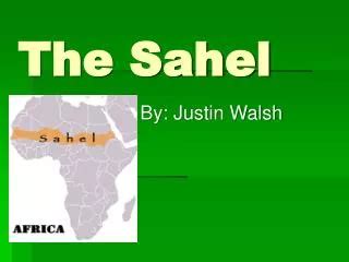PPT - DESERTIFICATION IN THE SAHEL PowerPoint Presentation, free download - ID:6624860