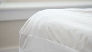 Purple Mattress Protector Review - Mattress Clarity