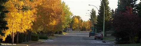 Town of Carrot River :. Saskatchewan's Outback