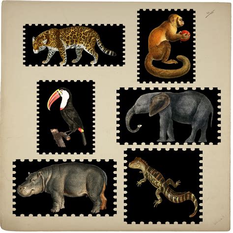 Vintage Animal Stamps Free Stock Photo - Public Domain Pictures