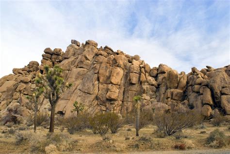 joshua tree rock formations-4796 | Stockarch Free Stock Photos