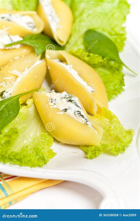 Jumbo Shells pasta stock photo. Image of shell, pasta - 36338008