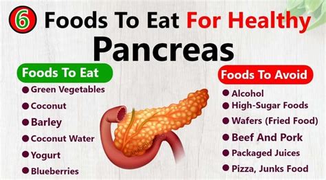 Pancreatitis Diet Food List (Printable) Diets Meal Plan, 55% OFF