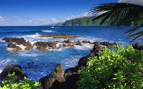 🔥 [70+] Maui Wallpapers | WallpaperSafari